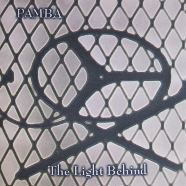 Pamba - black river flow