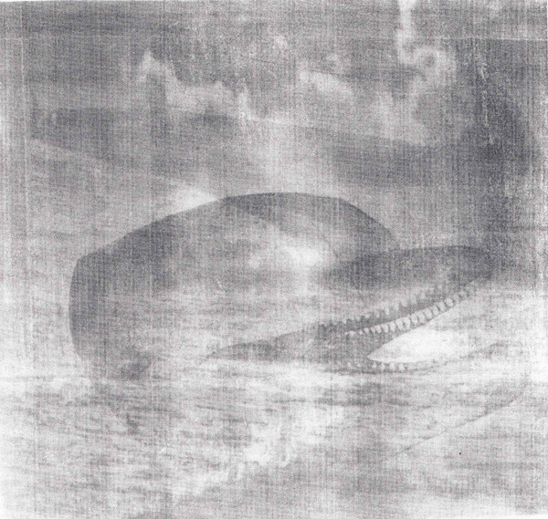 Pan Dolphinic Dawn - Pan Dolphinic Dawn pt. 1