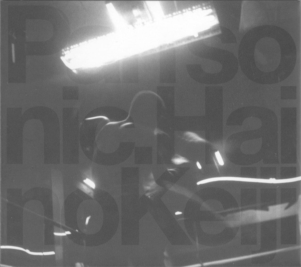 Pan Sonic & Keiji Haino - If I Could Incarnate This Feeling Would You Consider It A Creation