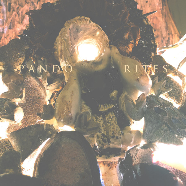 Pando - No recuerdo