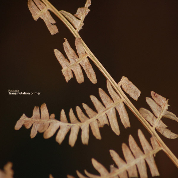 Parataxis - abandoned site 1