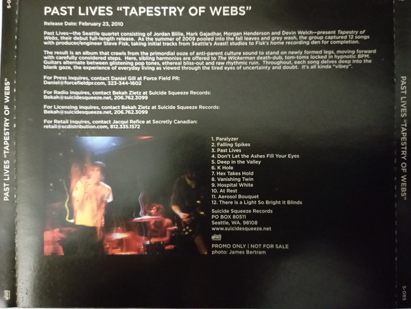 Past Lives - Paralyzer