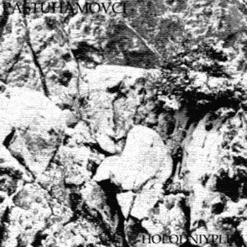 Pastuhamovci - Flyfliesfire