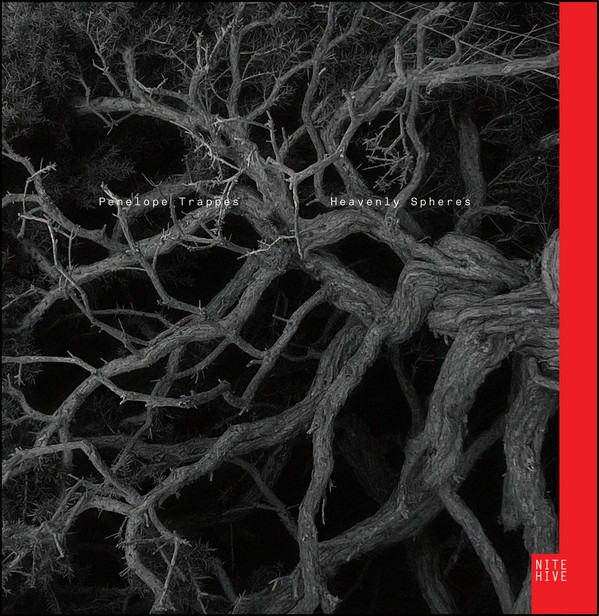 Penelope Trappes - Northern Light