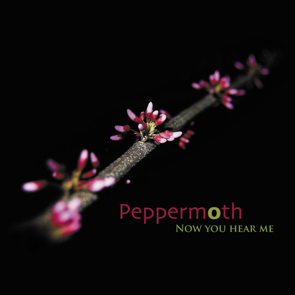 Peppermoth - Space Diving