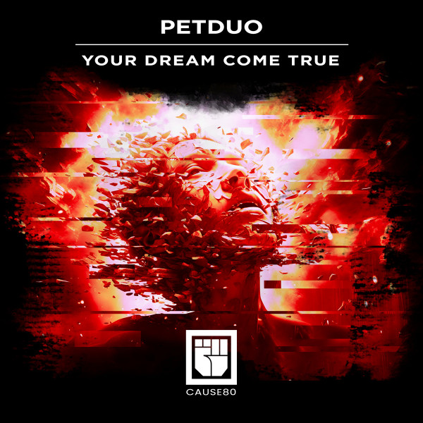 Pet Duo - Loading Procedure
