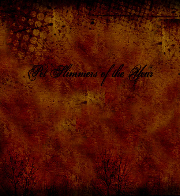 Pet Slimmers of the Year - The Faith of Our Hate (Heaven's Gate Part One)