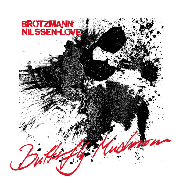 Peter Brötzmann & Paal Nilssen-Love - Strong and Thin