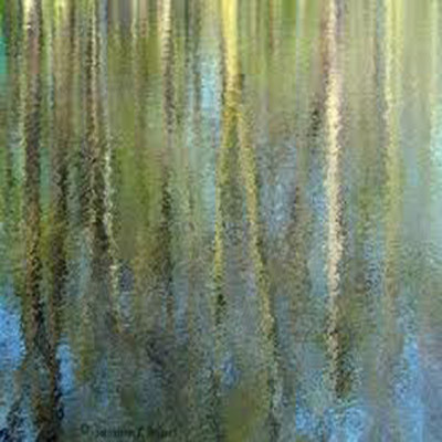 Peter DiPhillips - Tranquil-2