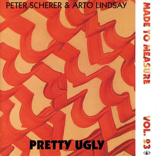Peter Scherer & Arto Lindsay - Pretty Ugly