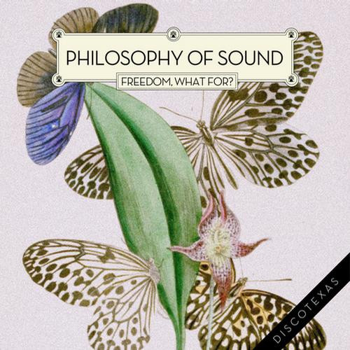 Philosophy of Sound - Freedom What For - A.N.D.Y. Remix