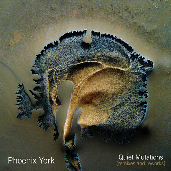 Phoenix York - Juarez