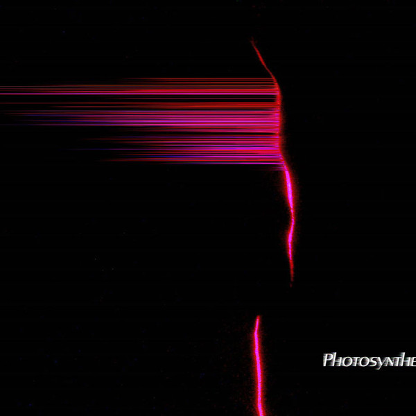 Photosynthesi - Blue Hour