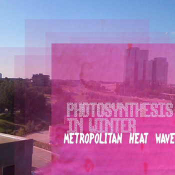 Photosynthesis in Winter - Conscious Fusion