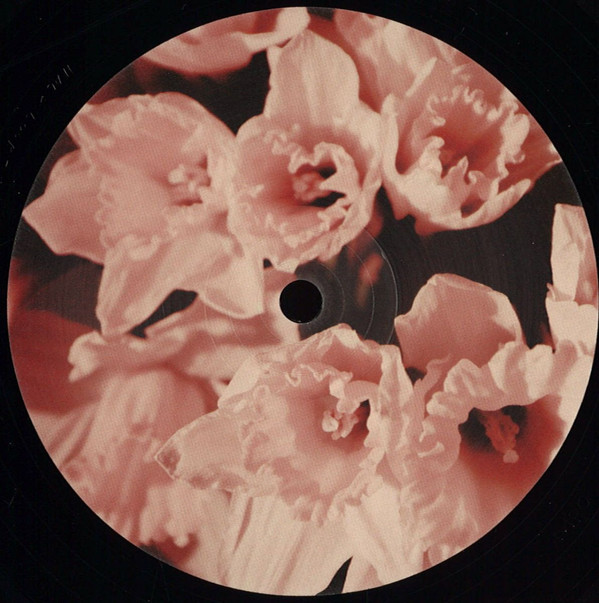 Physical Therapy - Drone On (feat. Jamie Krasner)