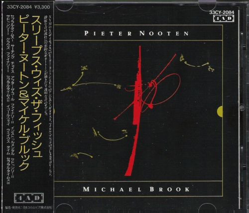 Pieter Nooten & Michael Brook - Several Times II
