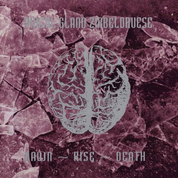 Pineal Gland Zirbeldruese - Dust Logic