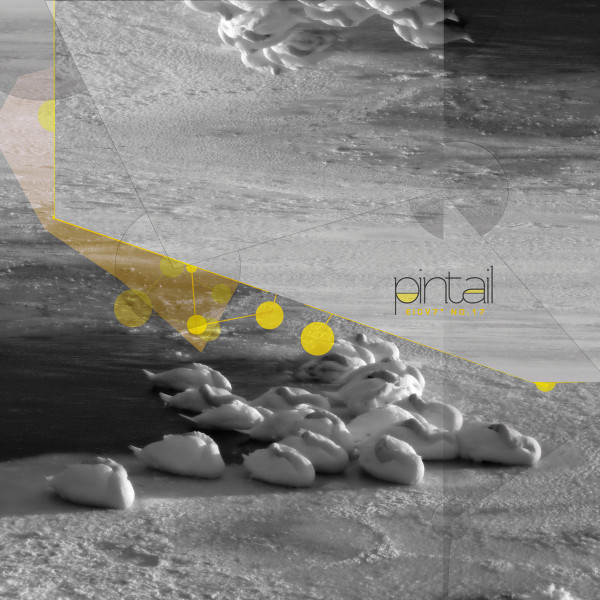 Pintail - Impulses I
