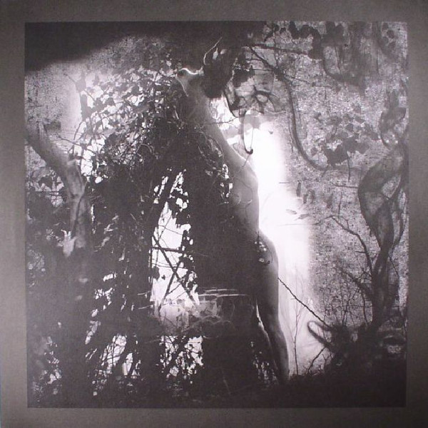 Pisetzky - Adria