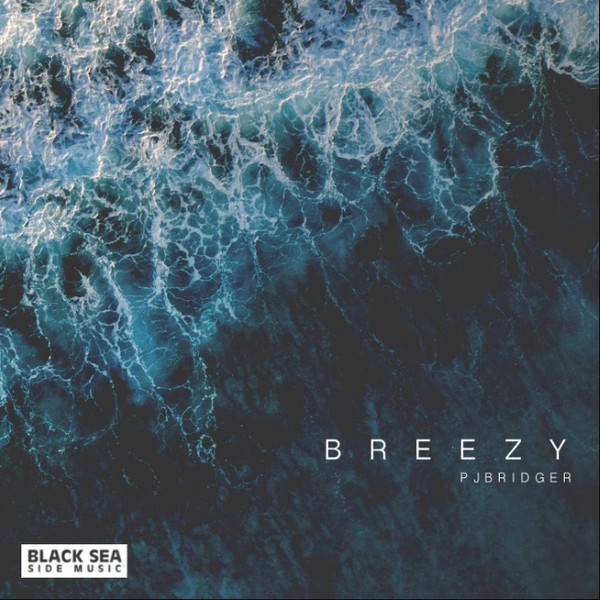 Pj Bridger - Roots
