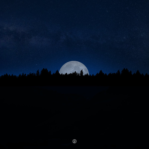 Polar Moon - I Hope This is Real
