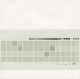 Polaroïde - Pleiospilos_Germseed