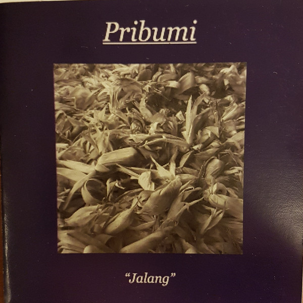 Pribumi - Masa Depan