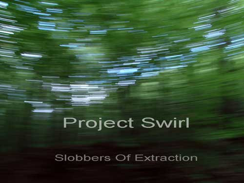 Project Swirl - Logical