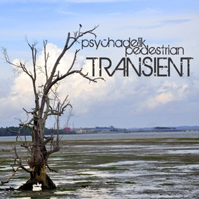 Psychadelik Pedestrian - Coral Reef