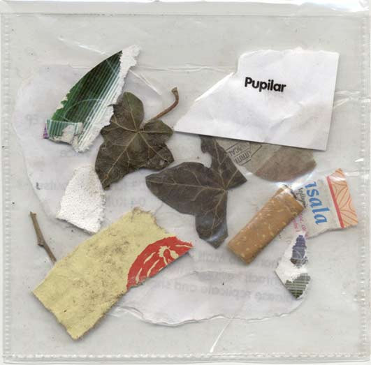 Pupilar - Kubrickian