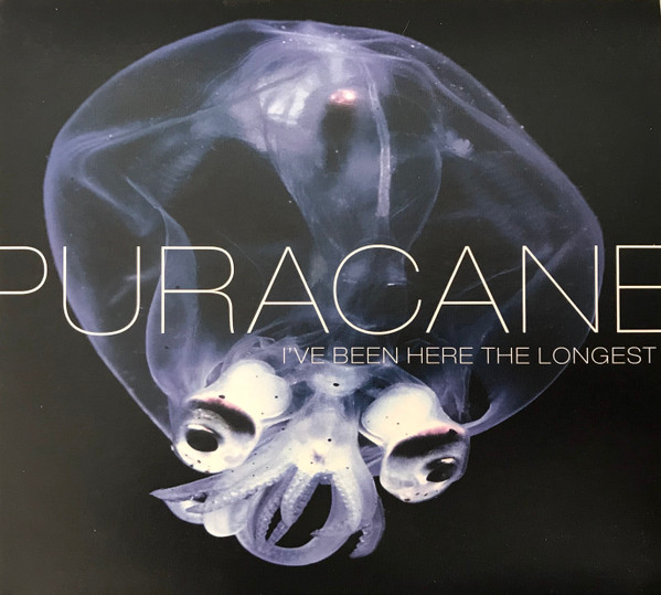 Puracane - all over now