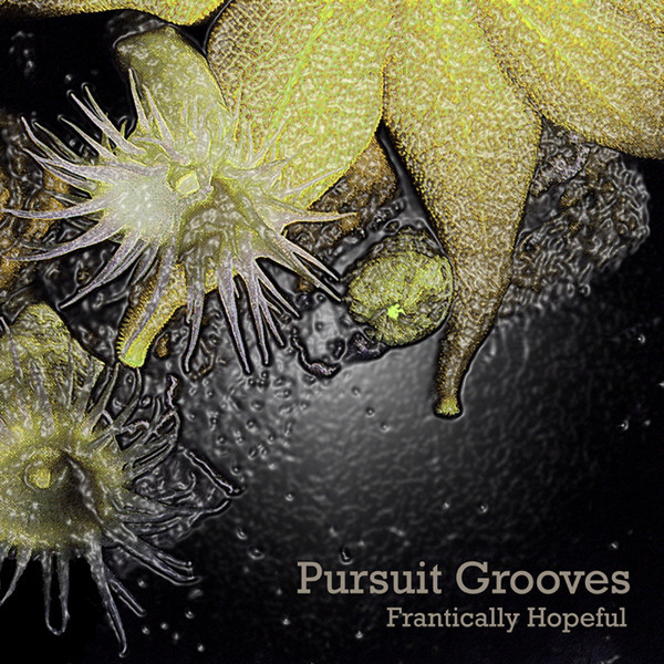 Pursuit Grooves - Push Up