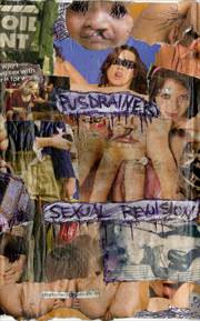 Pusdrainer - Police Story