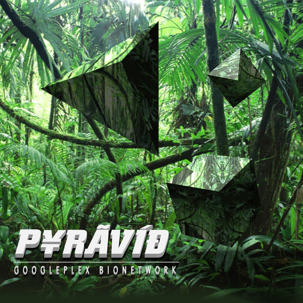 Pyravid - Senior Software Engineer