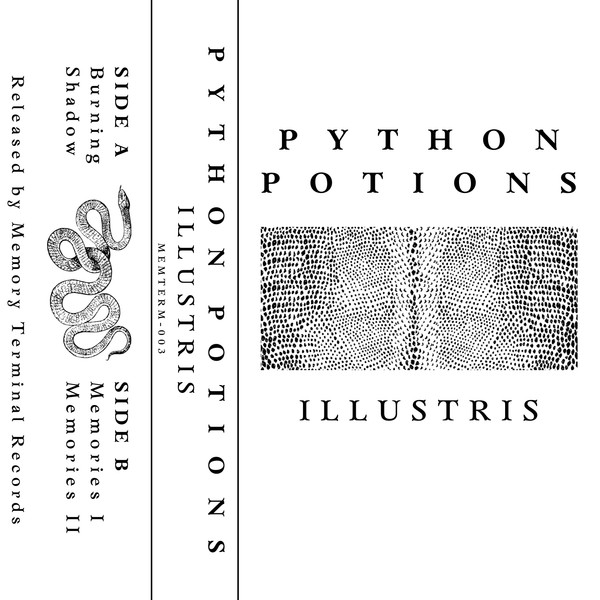 Python Potions - Burning