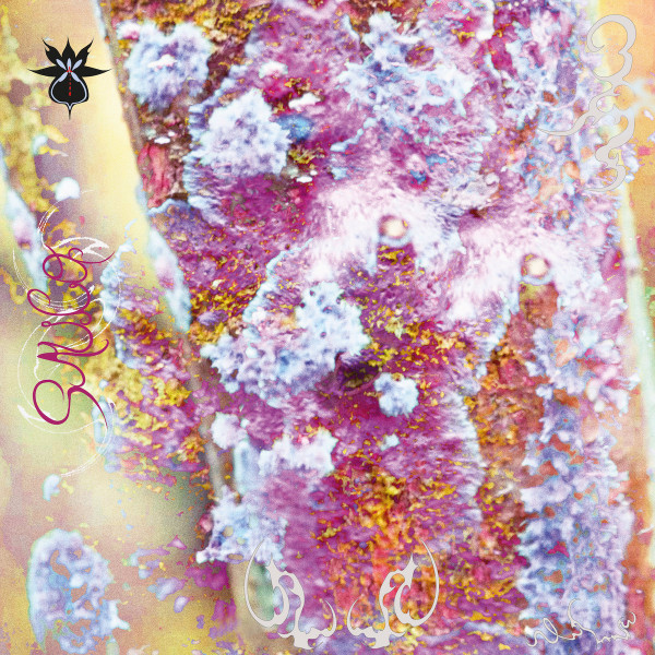 QOA - Liquen