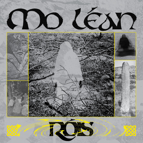 Róis - CITÍ