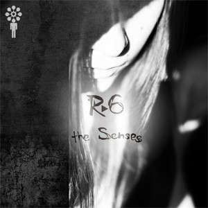 R6 - Raw Reverse