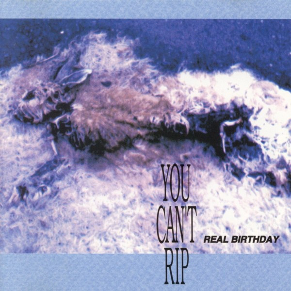 REAL BIRTHDAY - I Wannabe Your Dog