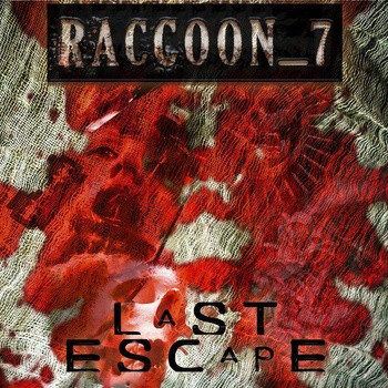 Raccoon_7 - Madness
