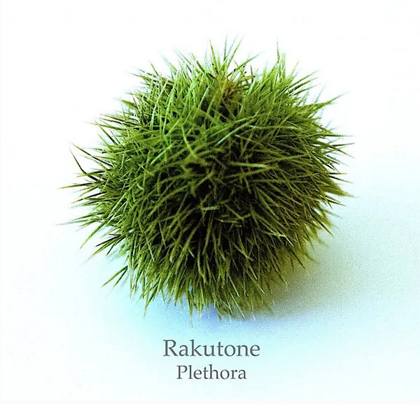 Rakutone - Trodding Through Deserts