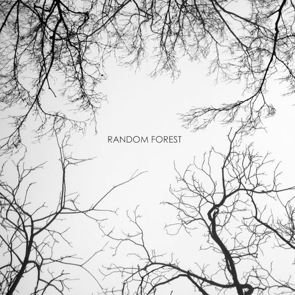 Random Forest - Hibernation