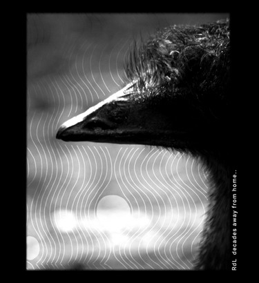 Rdl - 04 mirafiori.- cinco minutos