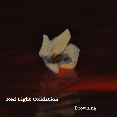 Red Light Oxidation - We Will Burn