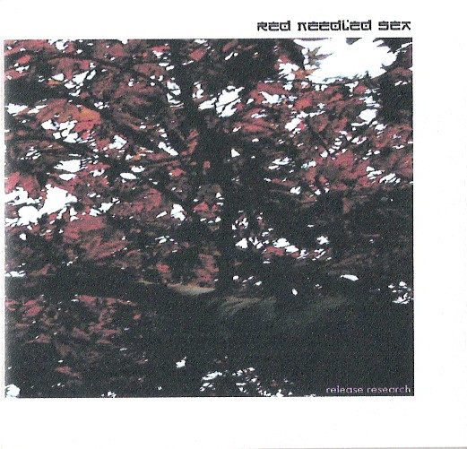 Red Needled Sea - 23.04