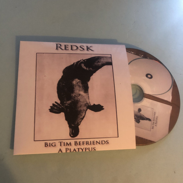 Redsk - We Quest To Save Destiny From The Princess Bombface Lady Of The Castle Known As Chirirug