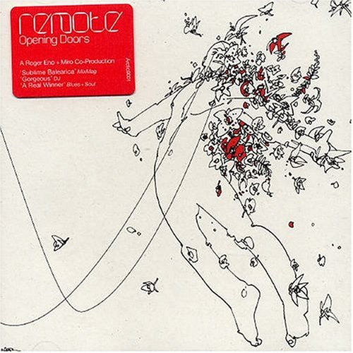 Remote - Sinister boogie