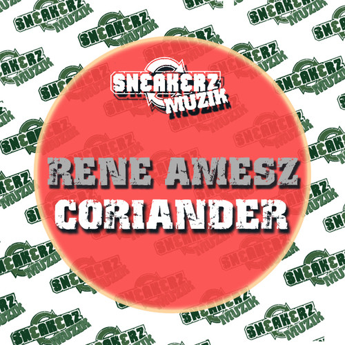 Rene Amesz - I Need Someone