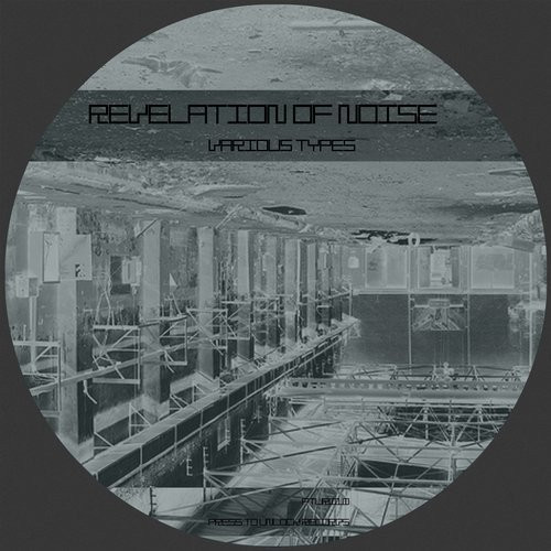 Revelation Of Noise - The Golden Mean (Original Mix)
