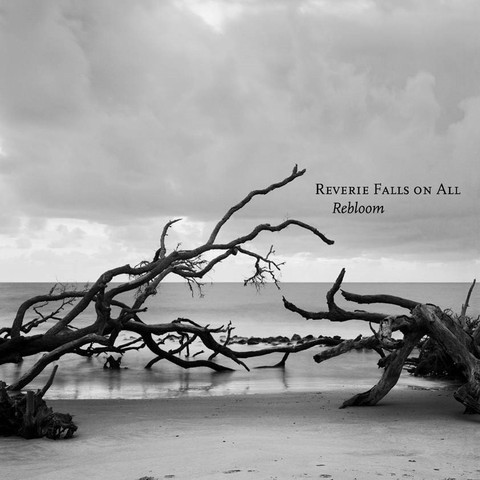 Reverie Falls On All - a never wounded eye